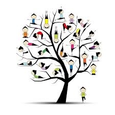 Stage de Yoga pour les plus grands